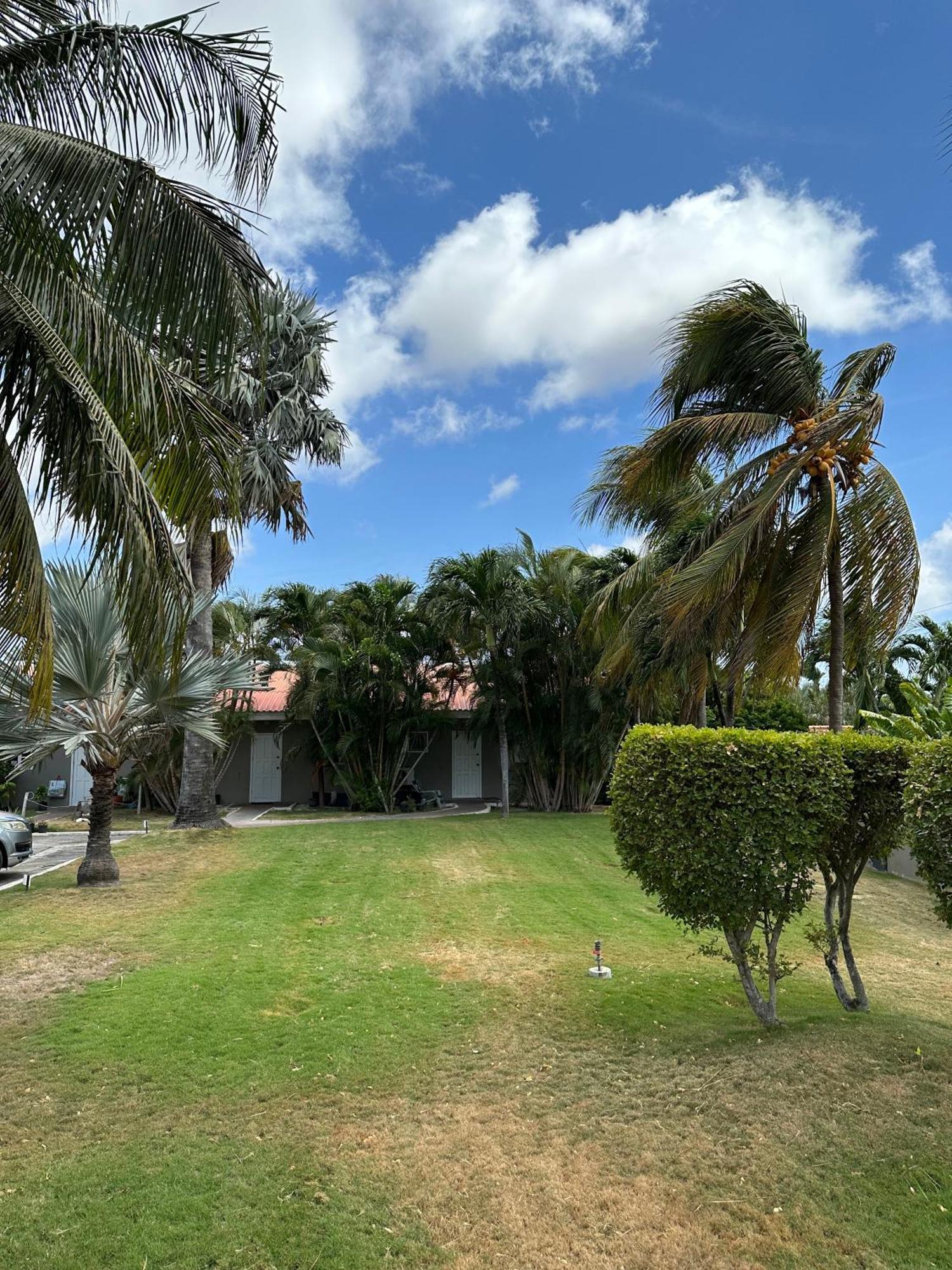 Windmill Apartments Curacao Willemstad Bagian luar foto